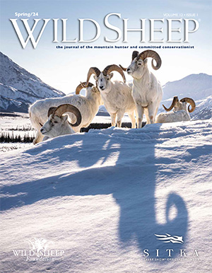 Wild Sheep magazine cover Spring 2024